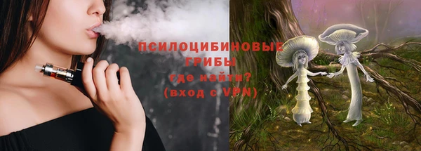 ешки Инсар