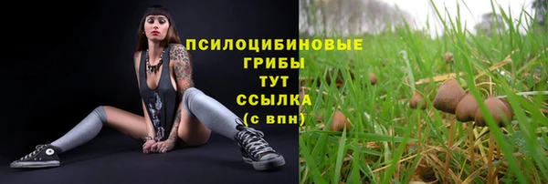 не бодяженный Иннополис