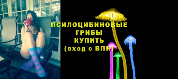 бутират Инта
