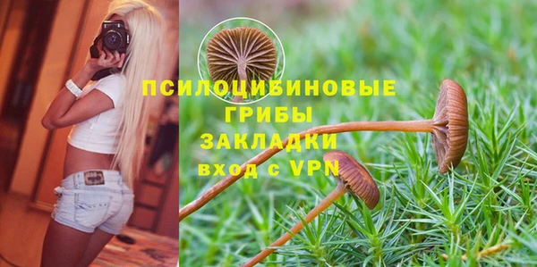 ешки Инсар