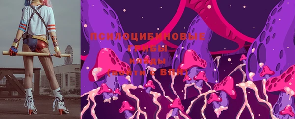 бутират Инта