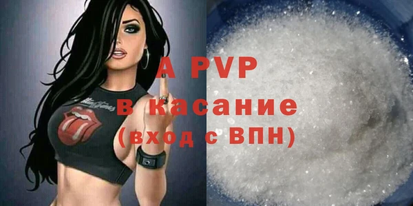 не бодяженный Иннополис