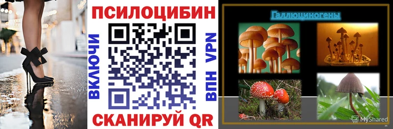 Купить где  Карталы  Псилоцибиновые грибы прущие грибы 